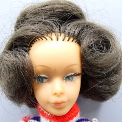 Tressy doll by Bella with...